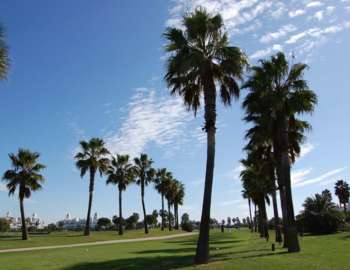 Golfplatz Golf Costa Ballena 957