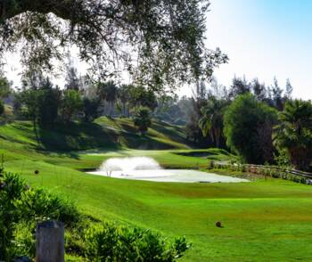Golfplatz Magna Marbella Golf 4065