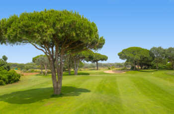 Golfplatz Real Novo Sancti Petri Golf 1089
