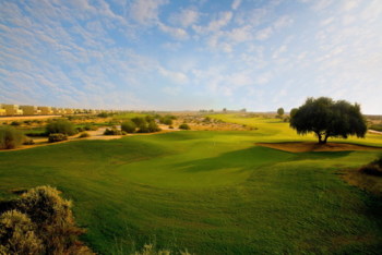 Golfplatz Arabian Ranches Golf Club 3622