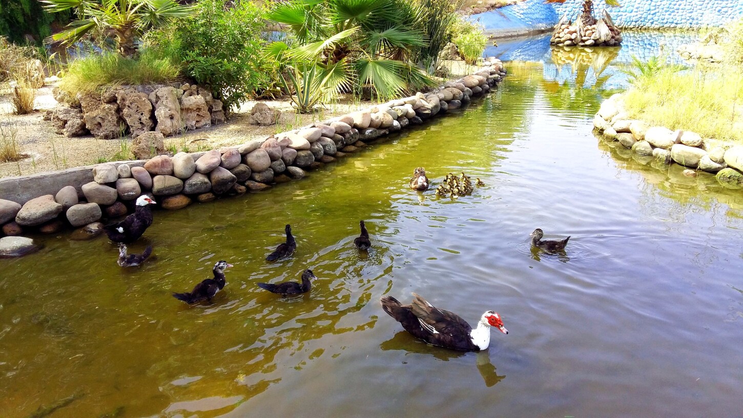 Golfplatz Enten