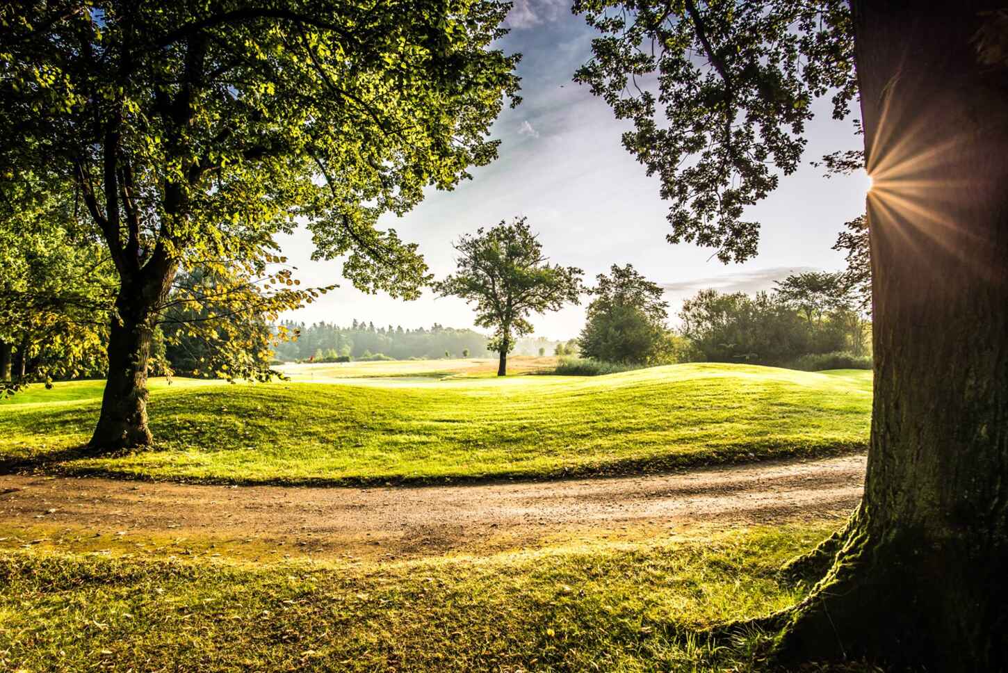 Golfplatz Land Fleesensee Platz 5161