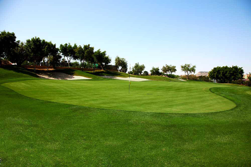 Golfplatz Alicante Golf  1716