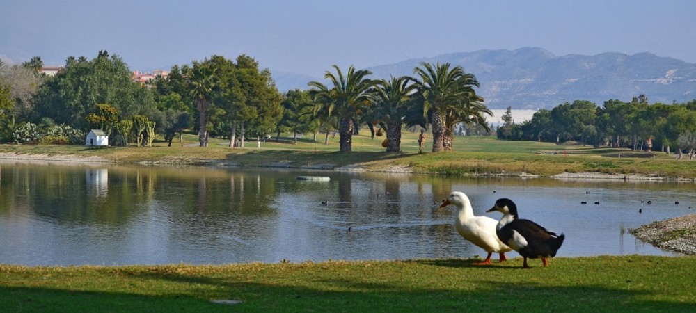 Golfplatz Bonalba Championship Golf Course 2895