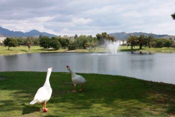 Golfplatz Bonalba Championship Golf Course 2896