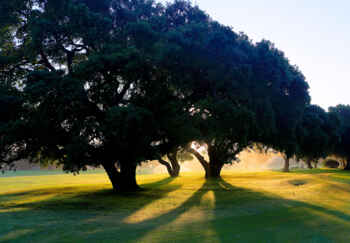 Golfplatz Montenmedio Golf & Country Club 1846