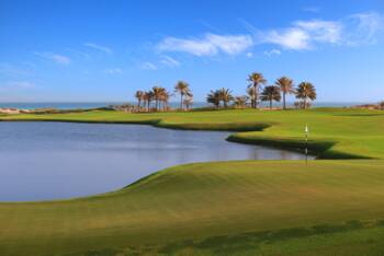 Golfplatz Saadiyat Beach Golf Club 3556