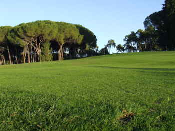 Golfplatz Golf Club Ugolino 2234