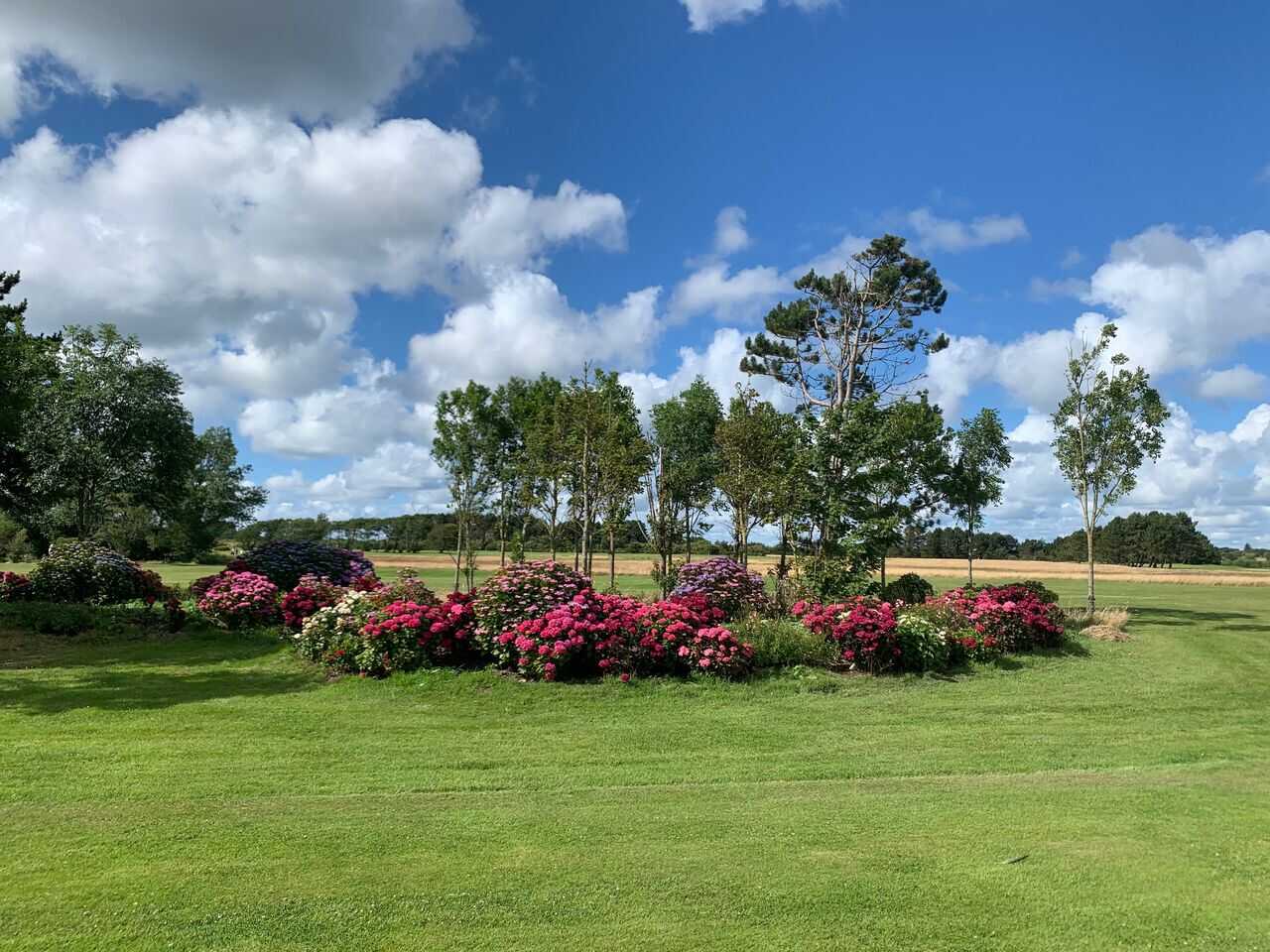 Golfplatz Golfclub Morsum auf Sylt e.V. 4440