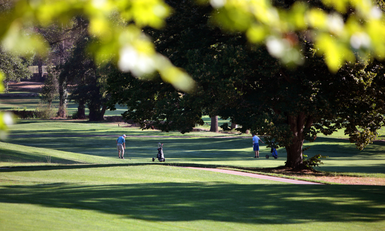 Golfers