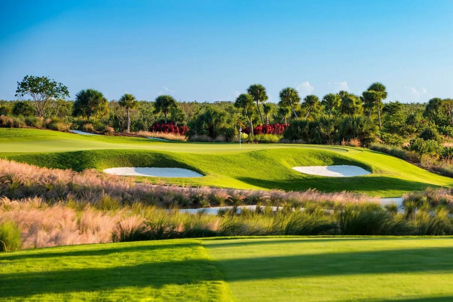 Golfplatz in Naples, Florida Hammock Bay Golf Club