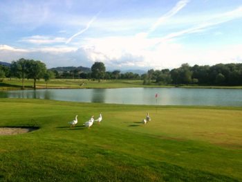 Golfplatz Rimini-Verucchio Golf Club 5559