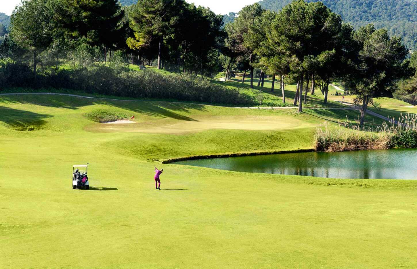 Golfer mit Buggy