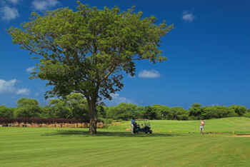 Golfplatz Tamarina Golf Club 561