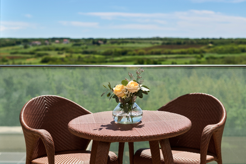 Doppelzimmer mit Oliven Gartenblick