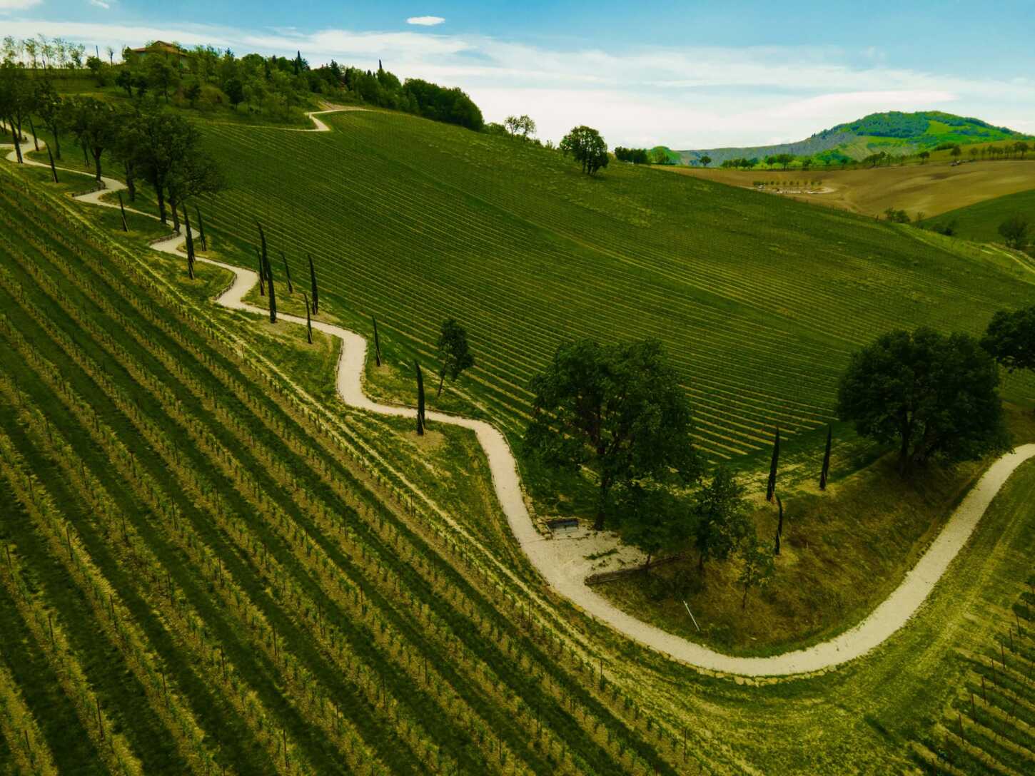 Idylisch durch Weinberge und Olivenhaine: Joggingfans und Biker freuen sich auf die Outdoorstrecken. Dank App sind alle Wege schnell zu finden. 