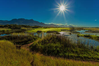 Golfplatz- The Links at Fancourt