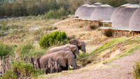 Kwena Lodge