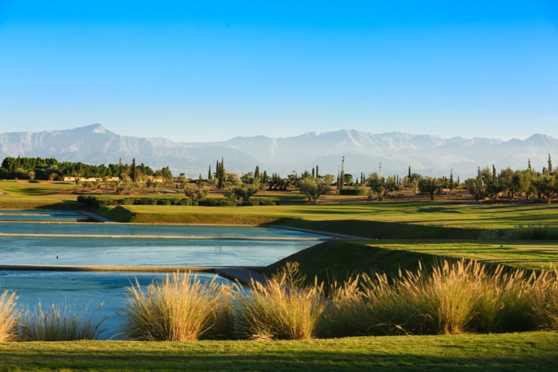 Bild Internationale Amateurgolfwoche mit dem MÖVENPICK GOLF CUP 2024