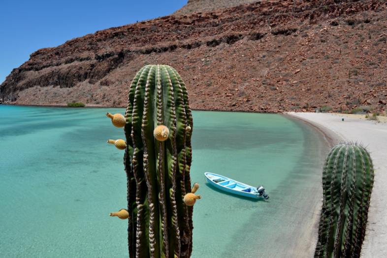 Oberregion Baja-California