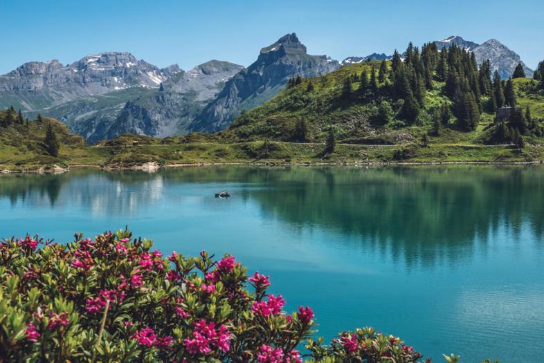 Oberregion Schweizer Alpen