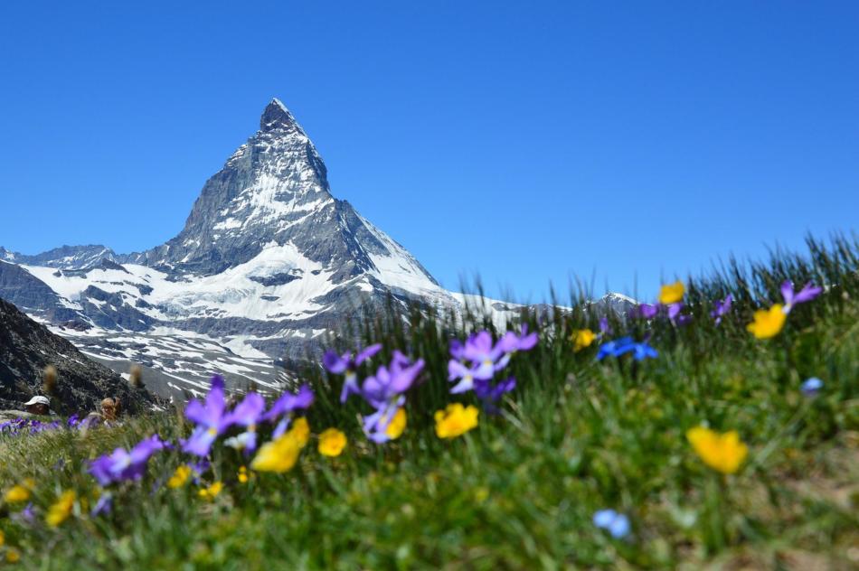 Oberregion Schweizer Alpen