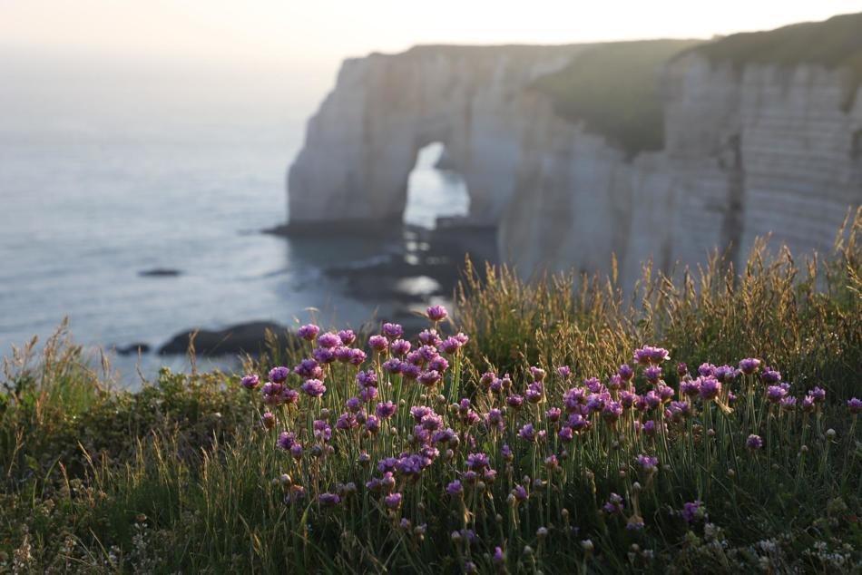 Oberregion Normandie