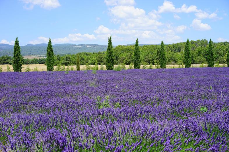 Oberregion Provence