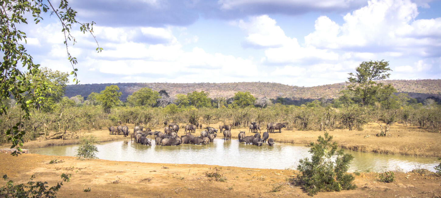 Hotel Golf am Kap und am Kruger - Südafrika Selbstfahrer Rundreise 1030