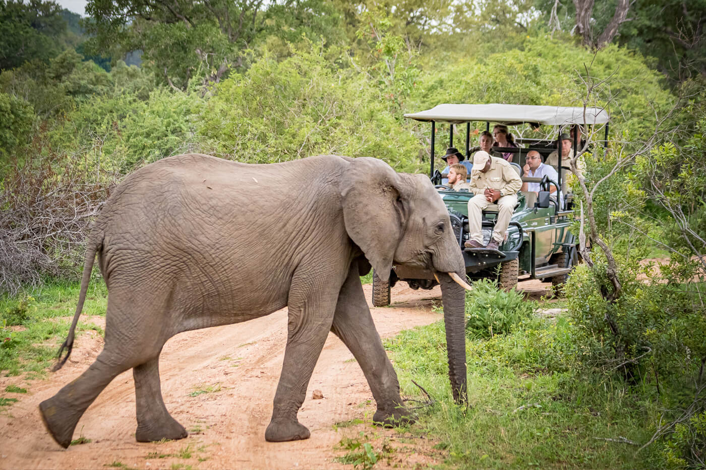 Hotel Golf am Kap und am Kruger - Südafrika Selbstfahrer Rundreise 1039