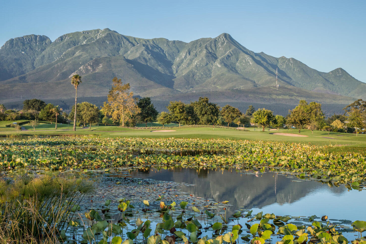 Fancourt