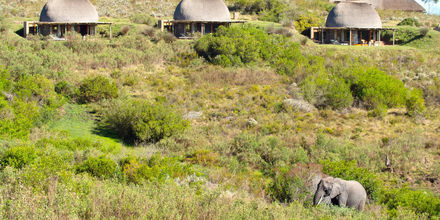 Gondwana Game Reserve