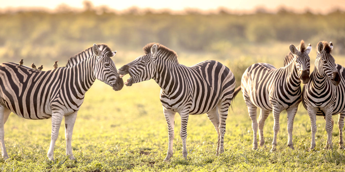 Kruger National Park