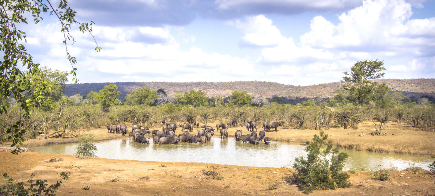 Kruger National Park