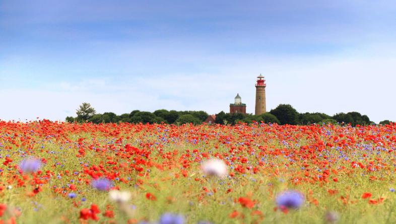 Unterregion Ostsee